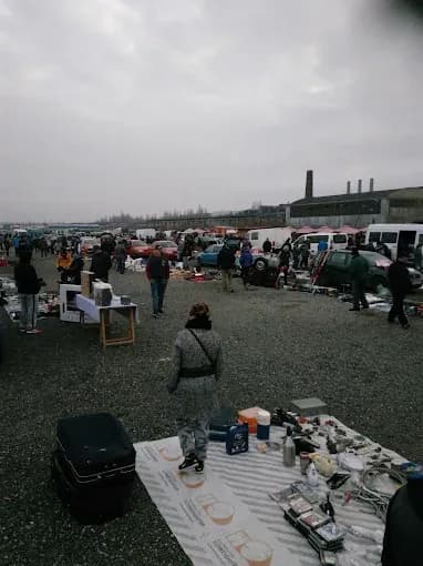 Eurovenus Târg Auto și Bazar - 3