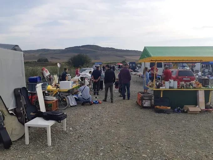 La Brocantă (Hereclean) - 4