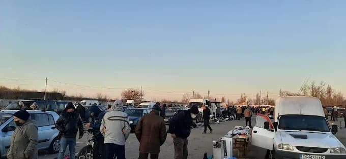 Oborul Brăilei (Taica Lazăr) - 2