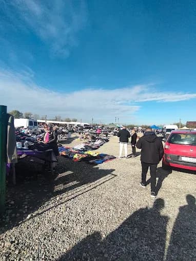 Târg de săptămânal în DN66, Peșteana Jiu, Târgul de la Peșteana