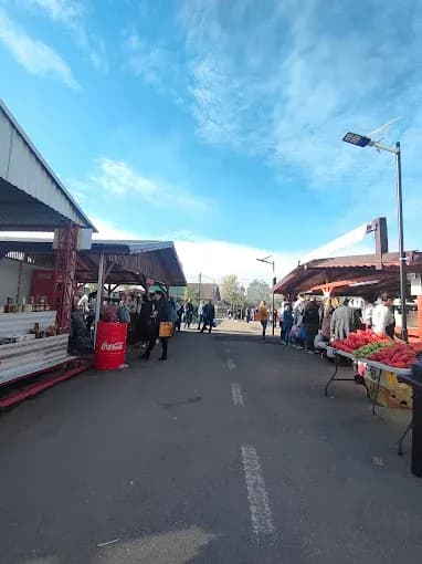 Târgul de la Peșteana - 2