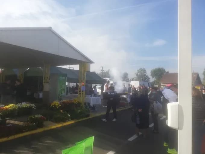 Târgul de la Peșteana - 3