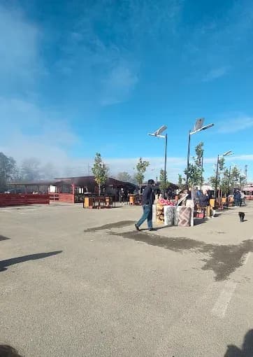 Târgul de la Peșteana - 4