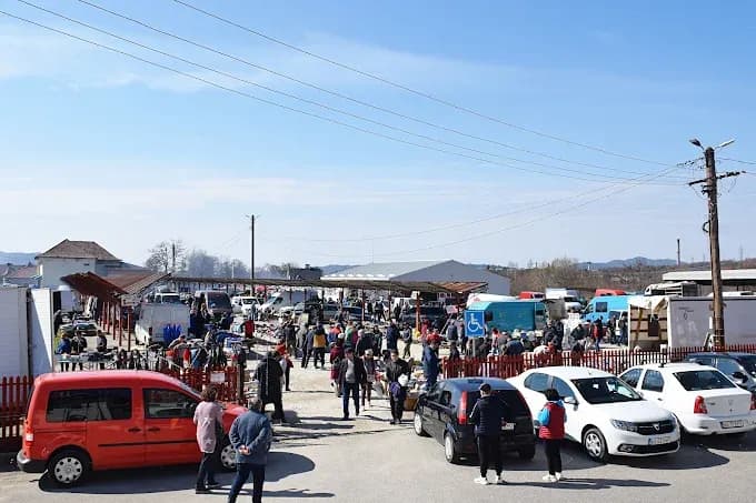 Târgul de la Lerești - 4