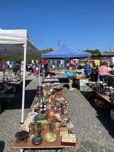 Târg de săptămânal în Parcul Industrial Hunedoara, Hunedoara, Eurovenus Târg Auto și Bazar